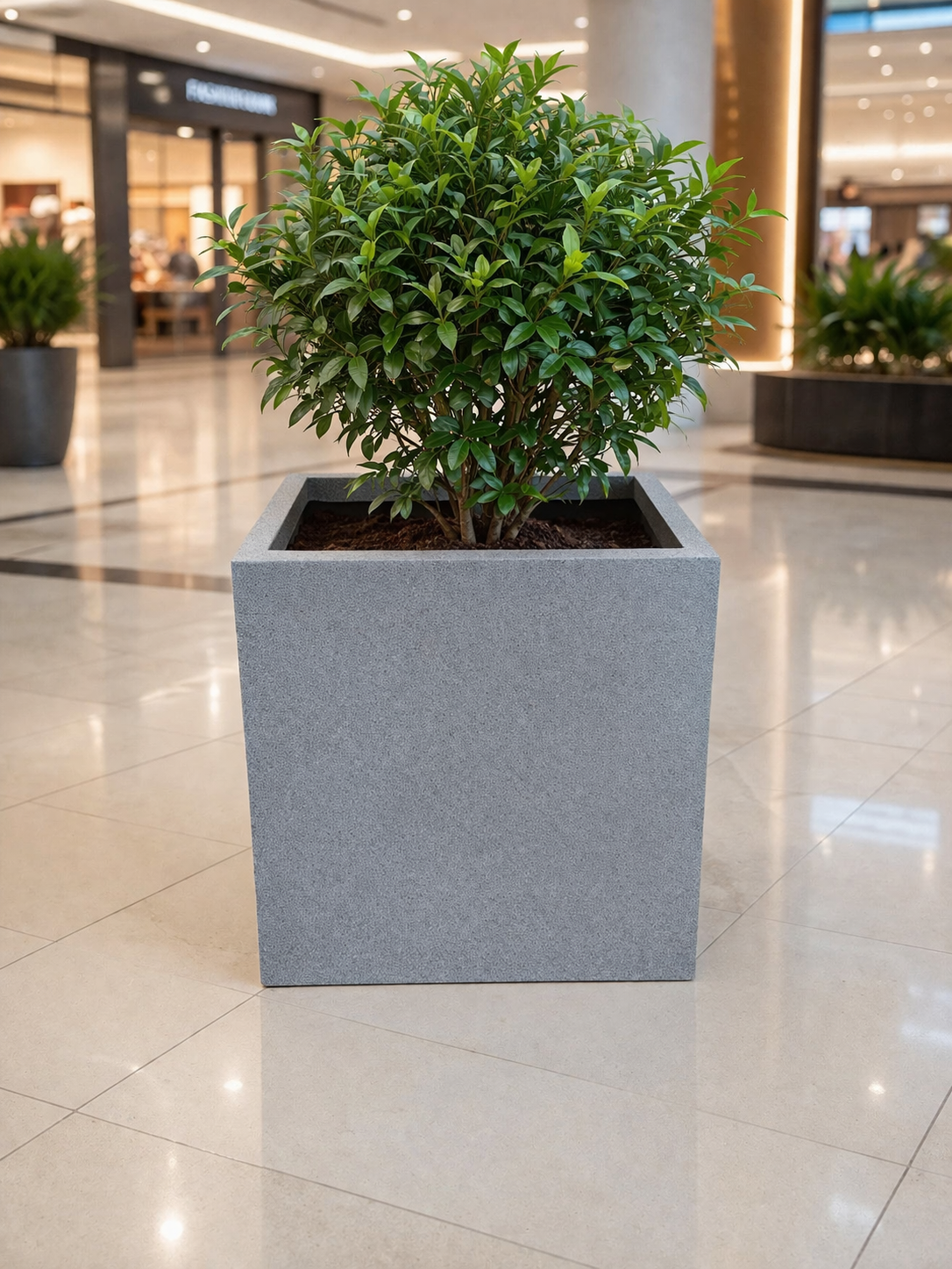 SQUARE FRP PLANTER- 600